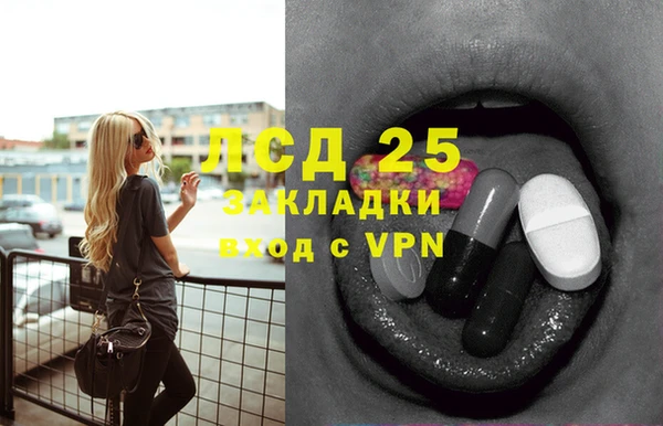 трава Гусиноозёрск