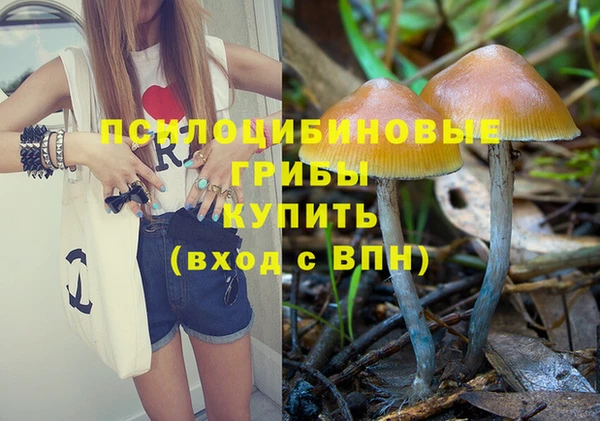 трава Гусиноозёрск