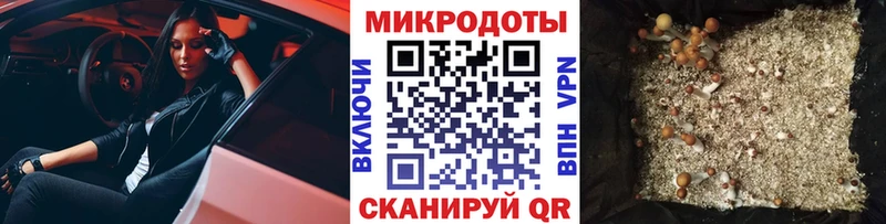 Псилоцибиновые грибы Magic Shrooms  Кадников 